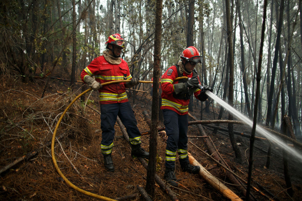 Vigili del fuoco, gli eroi di ogni giorno in foto