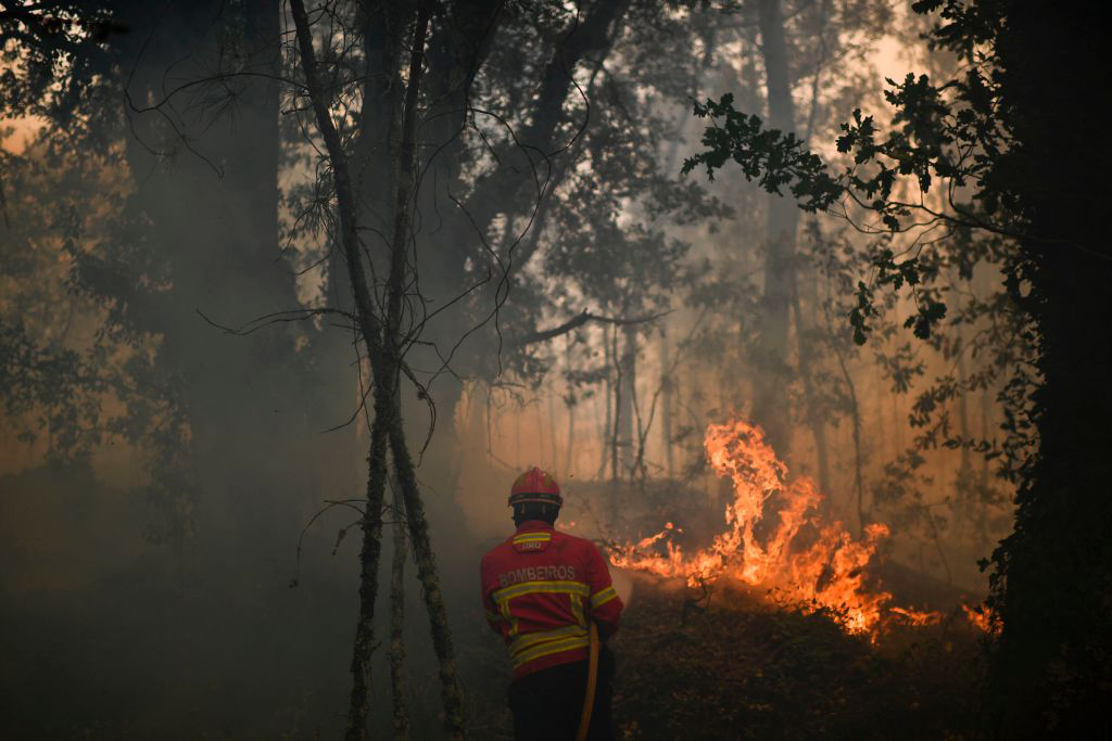 Vigili del fuoco, gli eroi di ogni giorno in foto