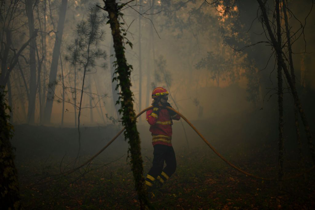 Vigili del fuoco, gli eroi di ogni giorno in foto