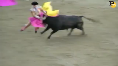 Spagna: il torero Ivan Fandino ucciso dal toro in una corrida