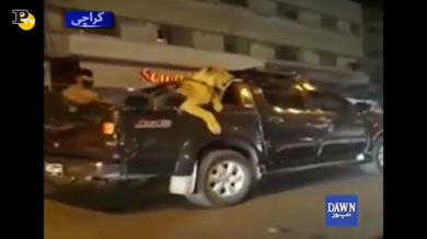 Pakistan, girano con un leone in macchina e vengono arrestati | Video