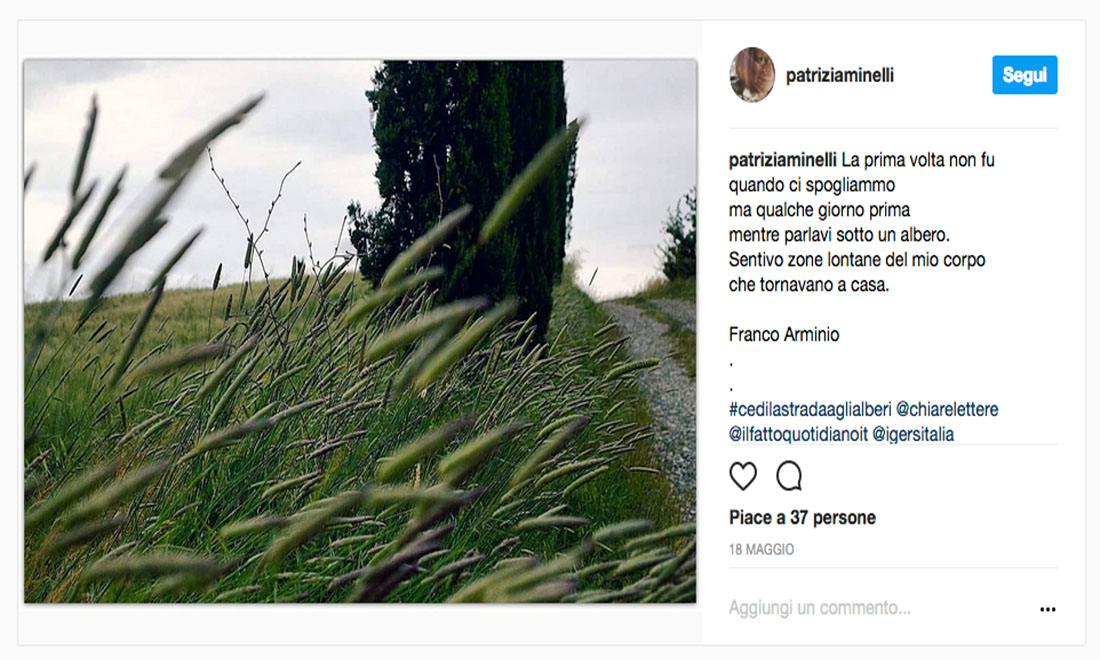 #CediLaStradaAgliAlberi: le foto dei vincitori