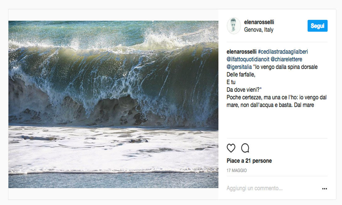 #CediLaStradaAgliAlberi: le foto dei vincitori