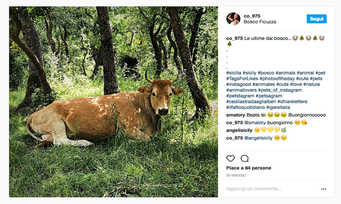 #CediLaStradaAgliAlberi: le foto dei vincitori