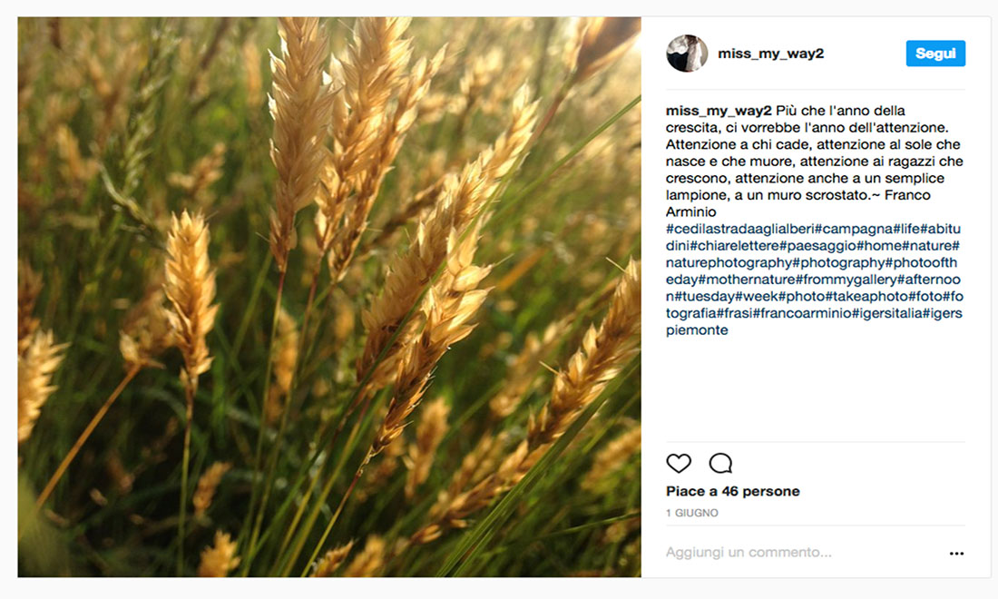 #CediLaStradaAgliAlberi: le foto dei vincitori