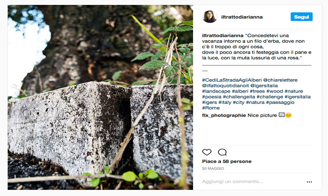 #CediLaStradaAgliAlberi: le foto dei vincitori