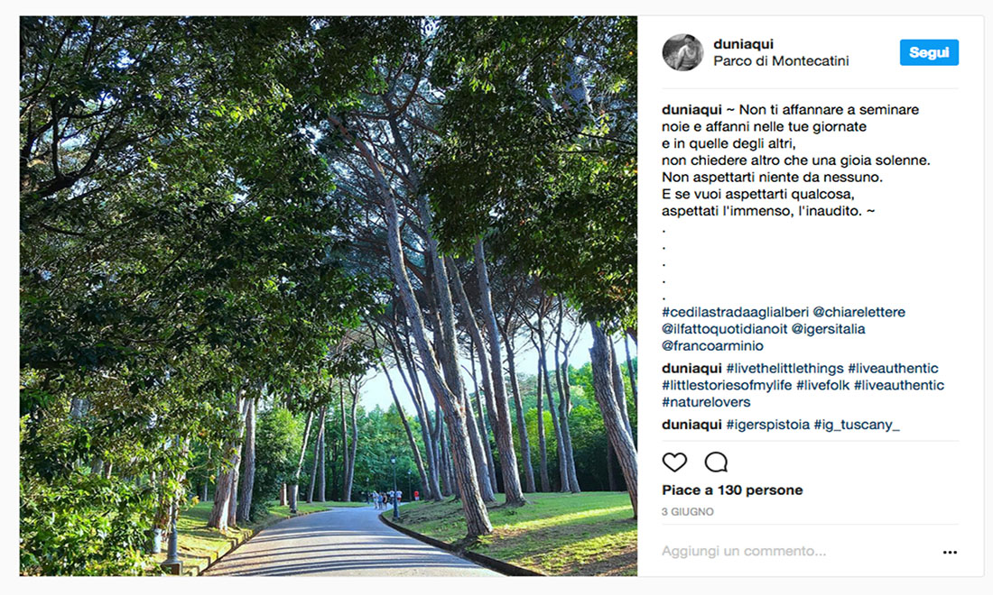 #CediLaStradaAgliAlberi: le foto dei vincitori