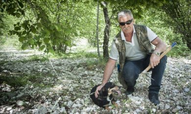 Panorama D’Italia a Scheggino, caccia al tartufo: i segreti e le tecniche