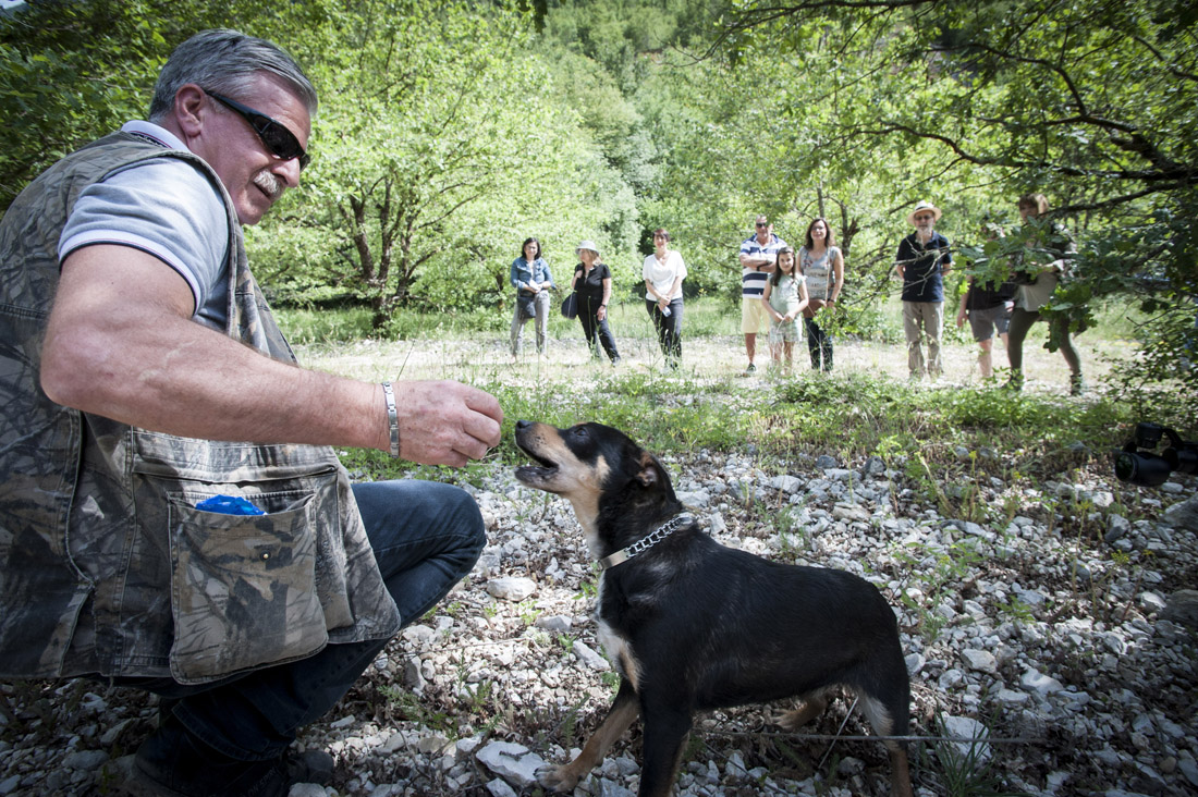 Caccia al tartufo: i segreti e le tecniche – FOTO e VIDEO