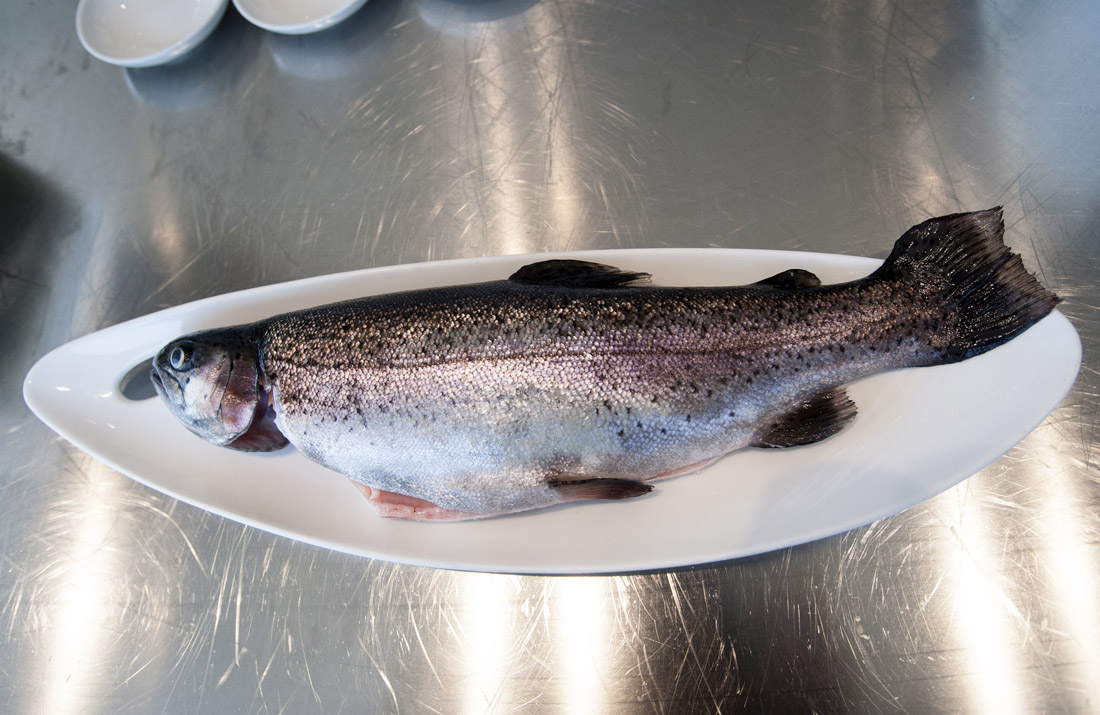 Tartufo, quaglia e trote protagonisti a Scheggino – FOTO e VIDEO