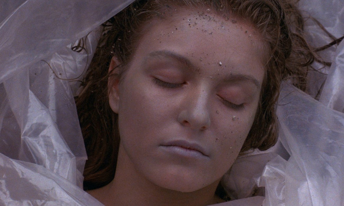 ‘Le vite segrete di Twin Peaks’, il libro per prepararsi alla nuova stagione