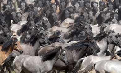 Le foto più belle della settimana – 27 maggio/2 giugno