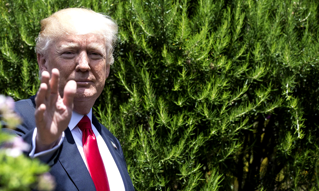 Perché le decisioni sul clima di Donald Trump sono antieconomiche