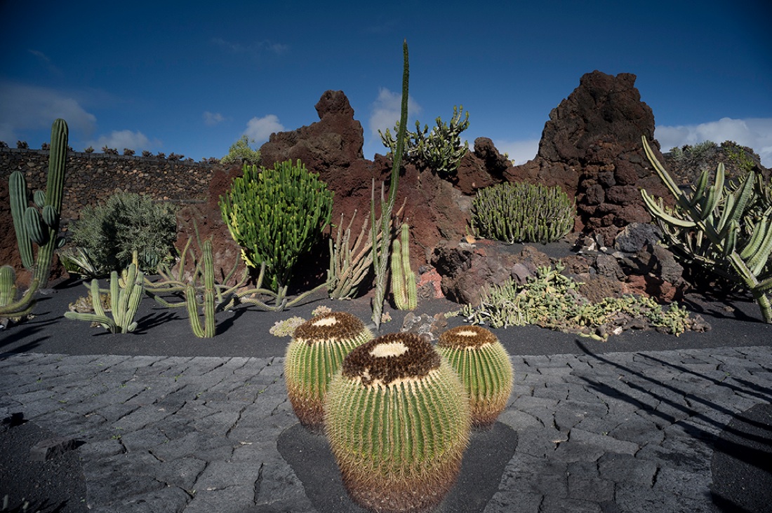 Al Jardín de Cactus il Premio Scarpa per il Giardino Al Jardín de Cactus il Premio Scarpa per il Giardino