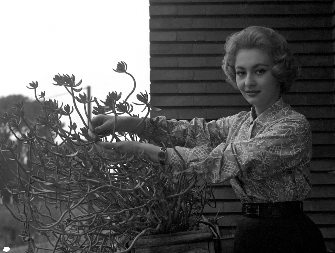 Addio Anna Maria Gambineri, storica “signorina buonasera” Addio Anna Maria Gambineri, storica “signorina buonasera”