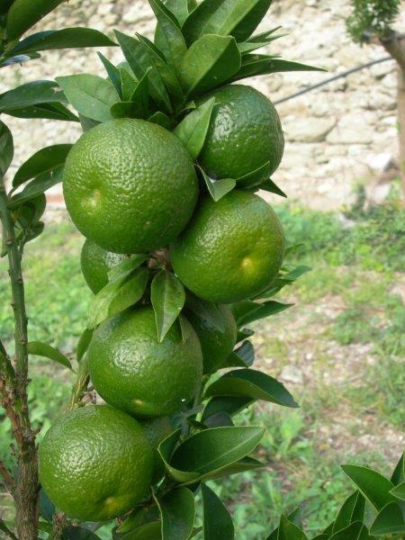 Le feste vip della settimana: è tempo di beach party