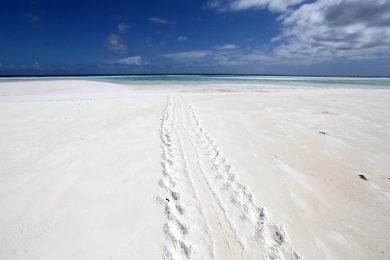 Italian best beaches are in Puglia and Liguria