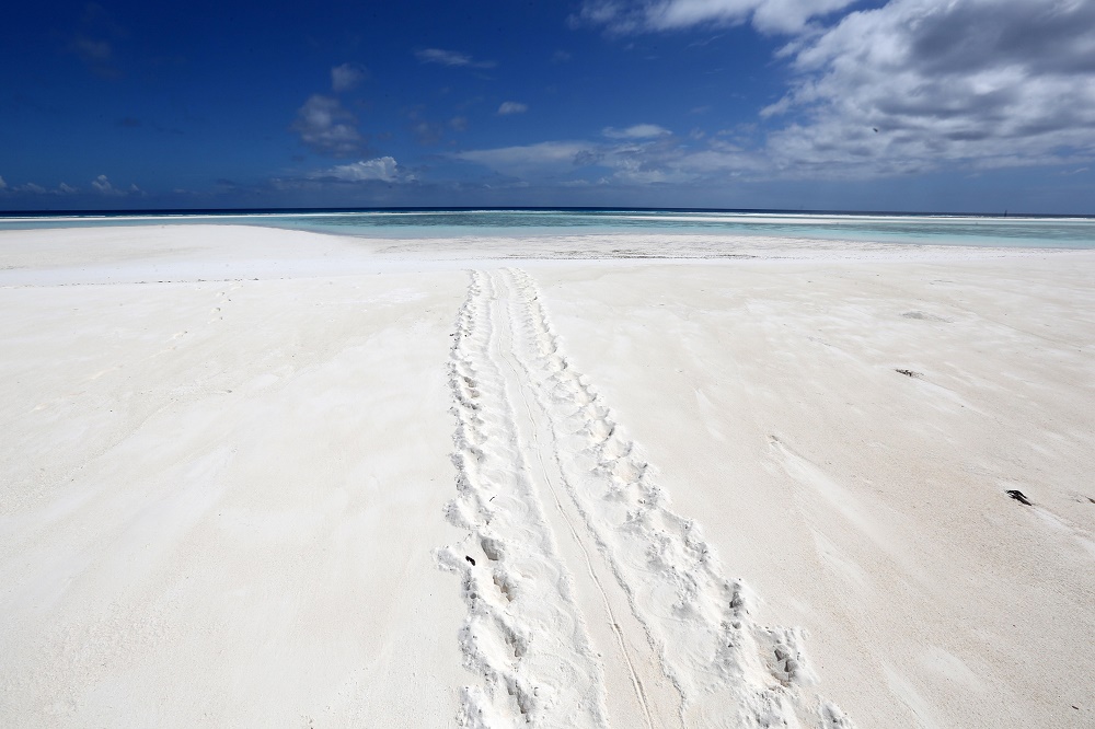 Italian best beaches are in Puglia and Liguria Italian best beaches are in Puglia and Liguria