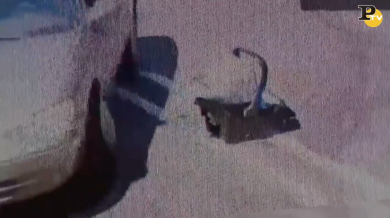 Usa: 18 enne abbandona il figlio neonato in un parcheggio