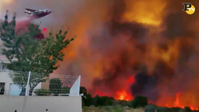 Francia: incendi distruggono Costa Azzurra e Corsica
