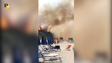 Puglia, incendi devastano il Gargano. C’è la mano dell’uomo