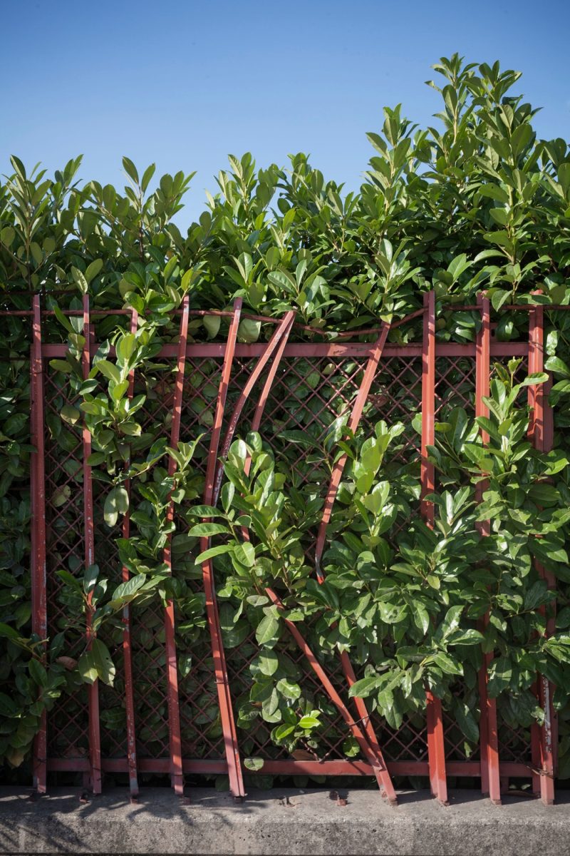 Fuoricentro: fotografia d’autore e spazi urbani Fuoricentro: fotografia d’autore e spazi urbani