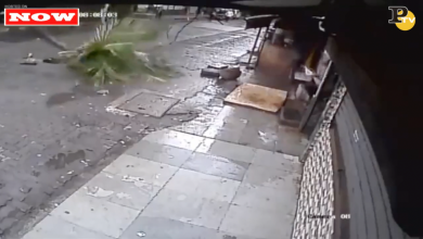 India: presentatrice tv uccisa in strada da un palma