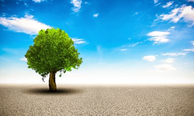 I danni della siccità che asseta l’Italia