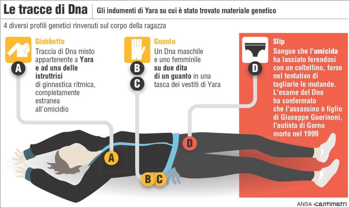 Galleria foto 'Omicidio Yara, tutte le tappe della vicenda' - foto 8