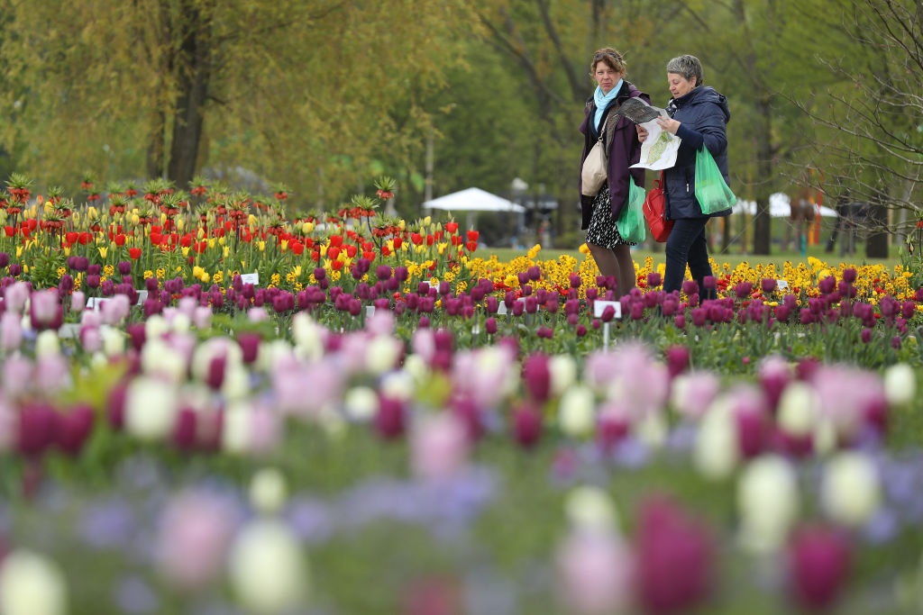 Welcome to Villa Taranto Gardens