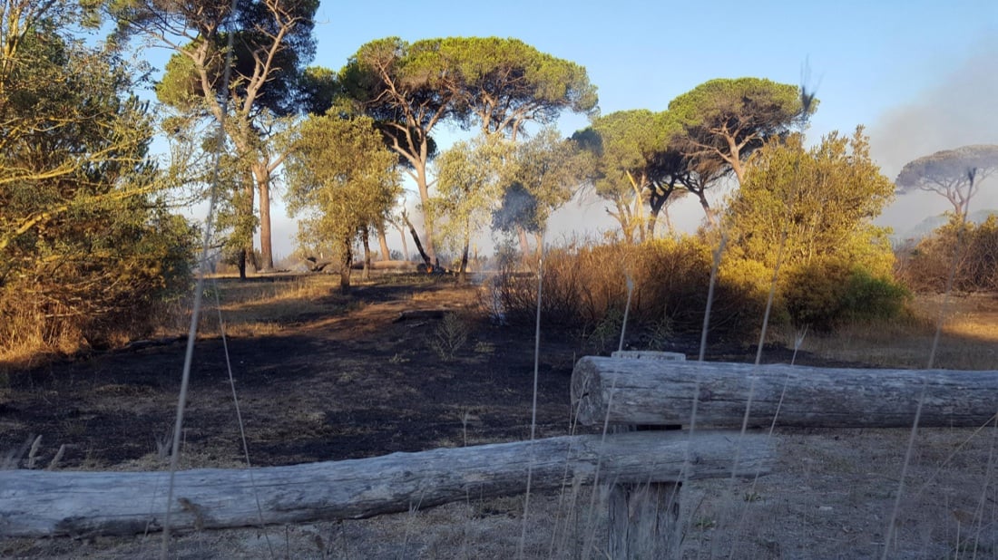 Incendi in Italia: ettari in fumo in Toscana, Lazio e Campania – Foto e video
