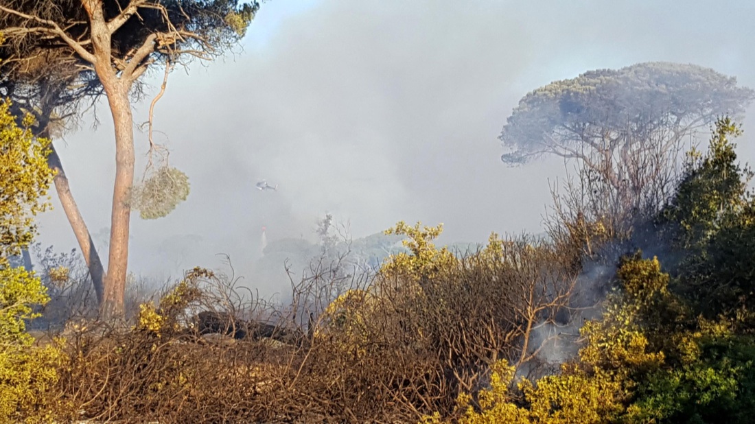Incendi in Italia: ettari in fumo in Toscana, Lazio e Campania – Foto e video