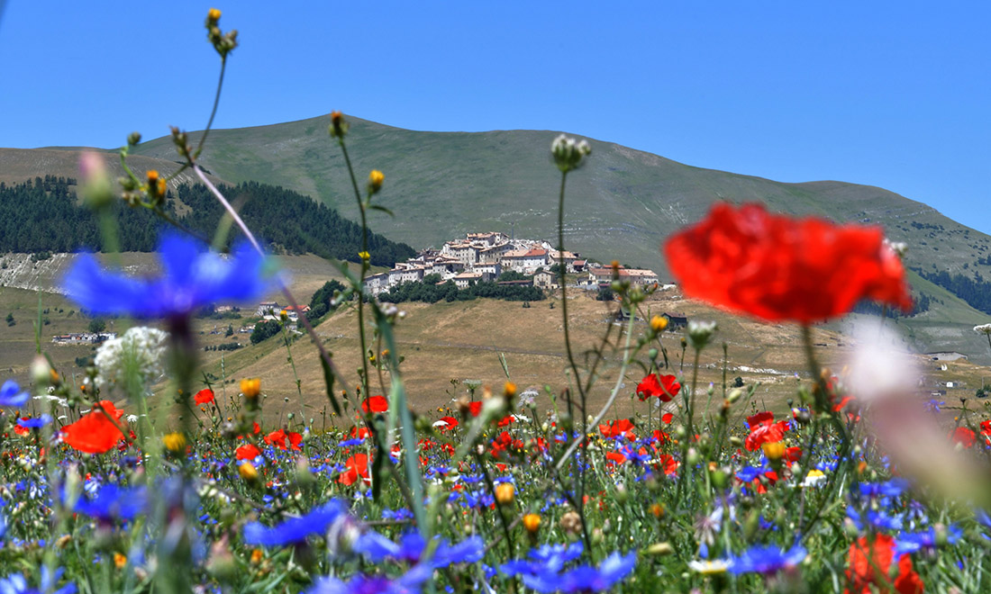 Le foto più belle della settimana – 8/14 luglio