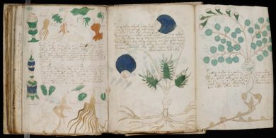 Il codice Voynich. Cos’è il libro degli enigmi che (forse) è italiano