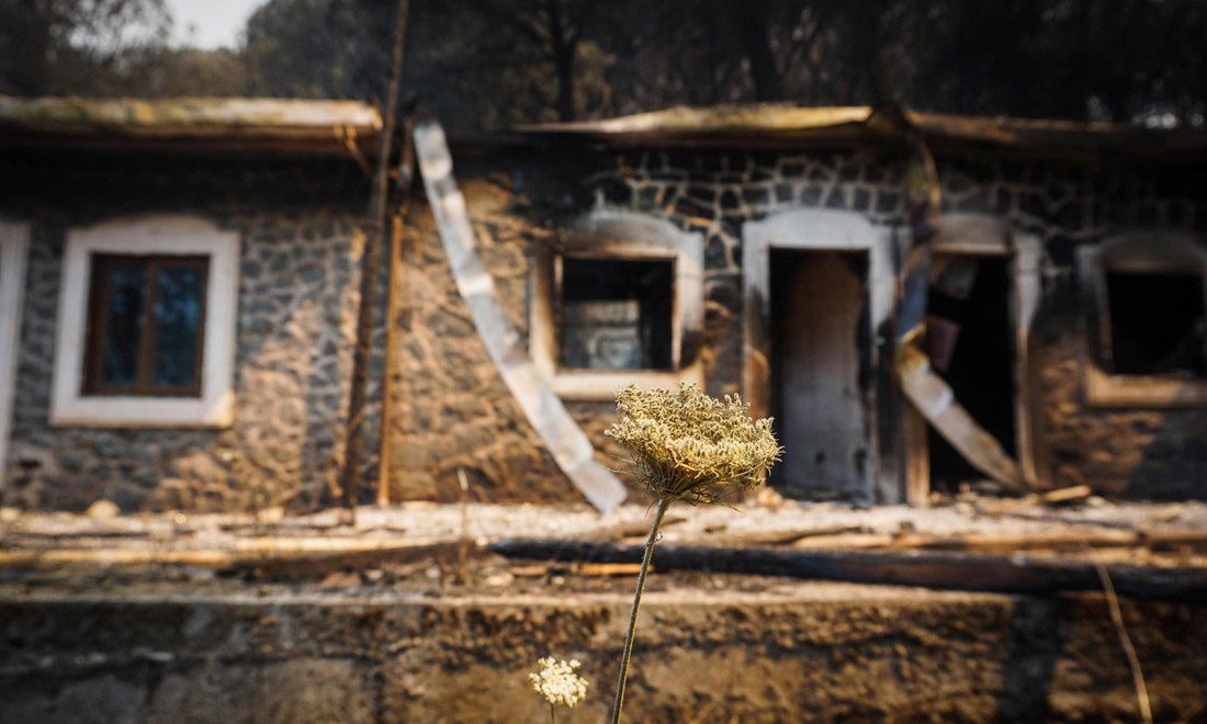 Incendi sul Vesuvio, di chi è la mano criminale Incendi sul Vesuvio, di chi è la mano criminale