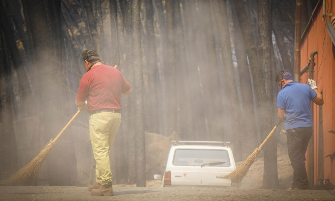 Incendi sul Vesuvio, di chi è la mano criminale Incendi sul Vesuvio, di chi è la mano criminale