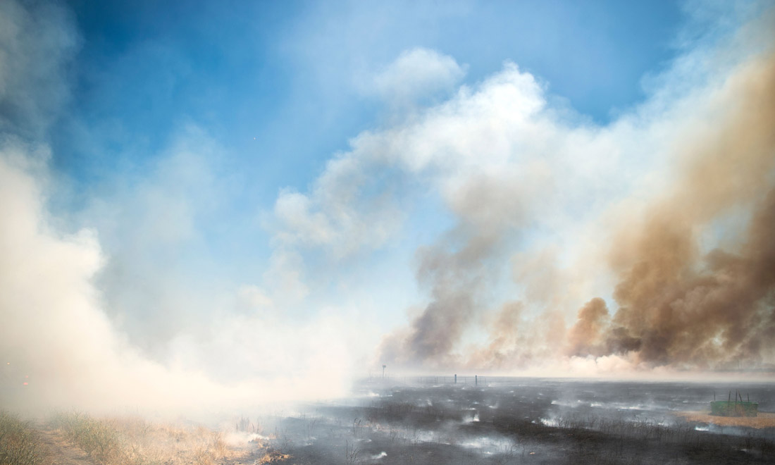 California in fiamme, dai boschi della Sierra Nevada a Santa Barbara – Foto e video
