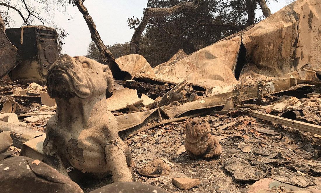 California in fiamme, dai boschi della Sierra Nevada a Santa Barbara – Foto e video