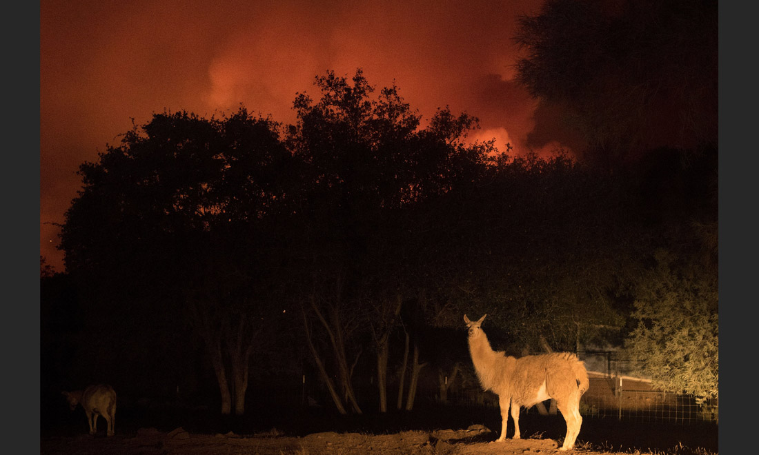 California in fiamme, dai boschi della Sierra Nevada a Santa Barbara – Foto e video