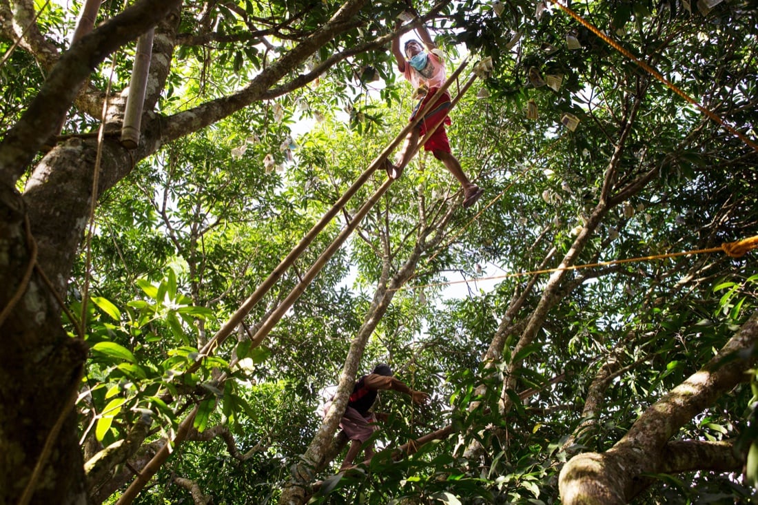 Arriva a Bologna la mostra fotografica ‘Grow Conserve’ Arriva a Bologna la mostra fotografica ‘Grow Conserve’