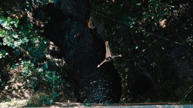 Il Red Bull Cliff Diving si tuffa a Lucca