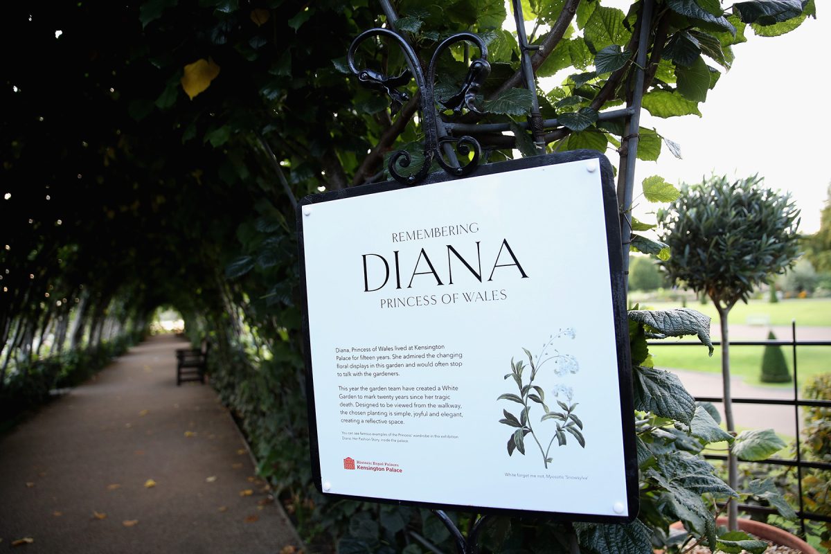 Galleria foto 'Lady Diana, l’omaggio del mondo a 20 anni dalla morte' - foto 3