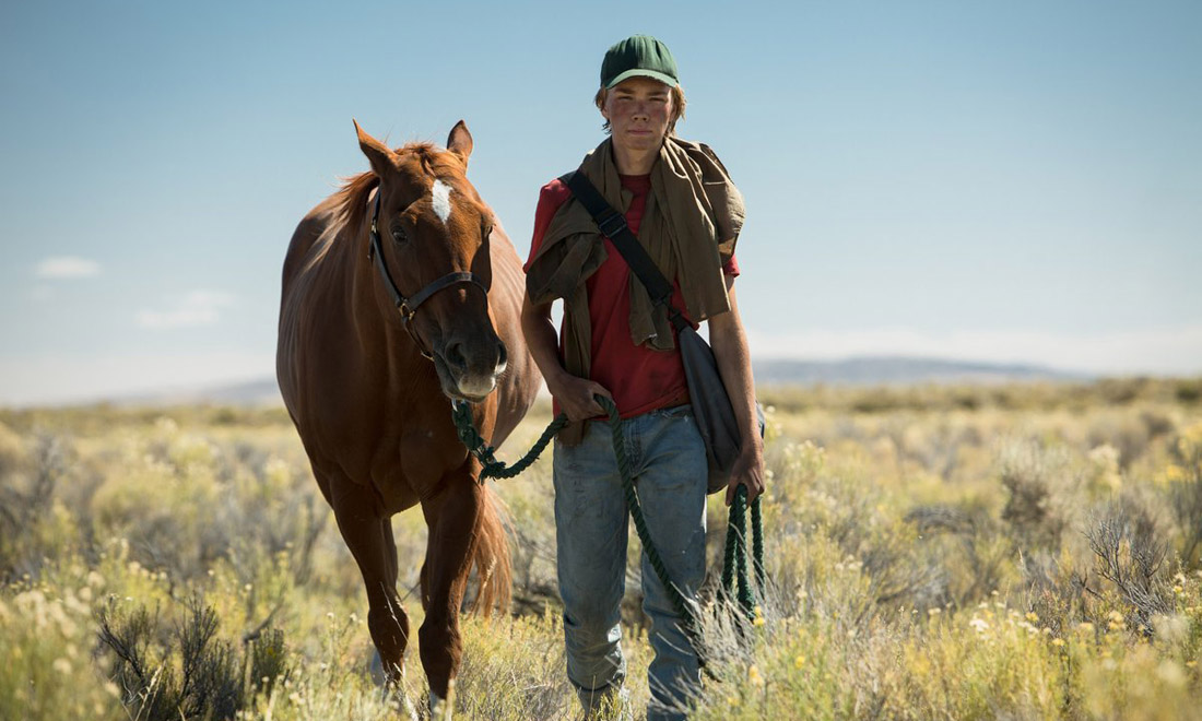 Venezia 2017, tutti i film in concorso – Foto e schede