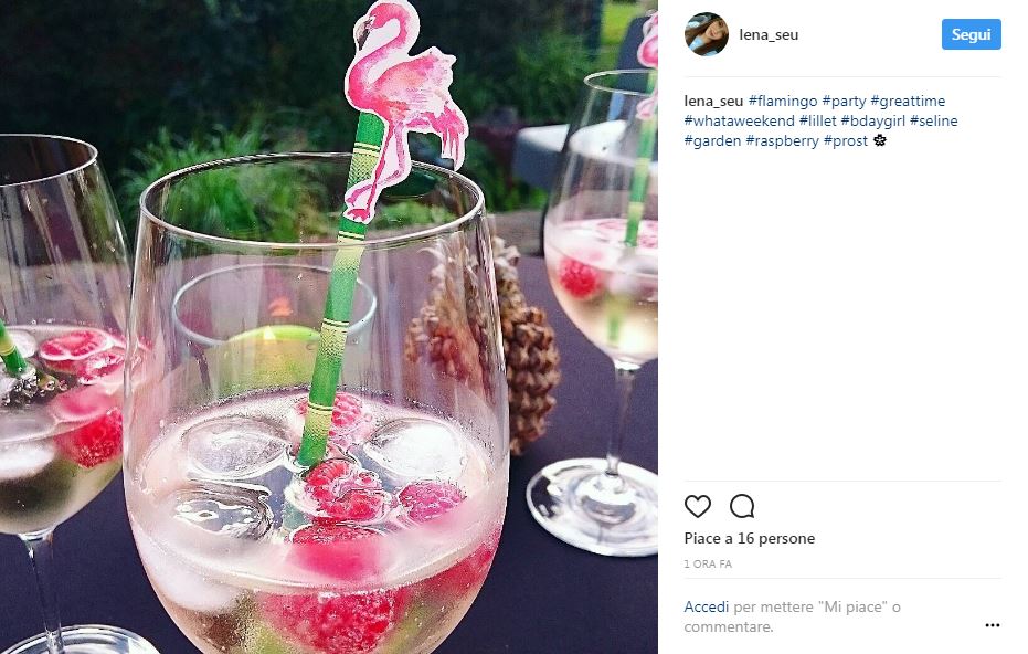 Galleria foto 'Flamingo mania: da dove nasce il fenomeno dell’estate' - foto 11