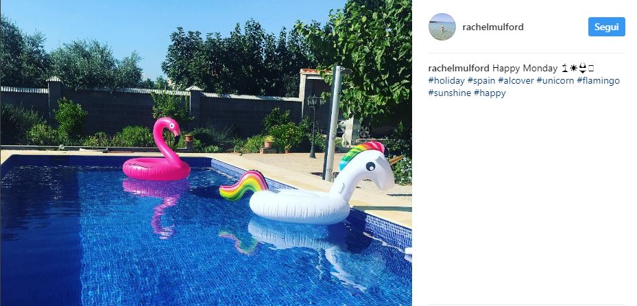 Galleria foto 'Flamingo mania: da dove nasce il fenomeno dell’estate' - foto 7