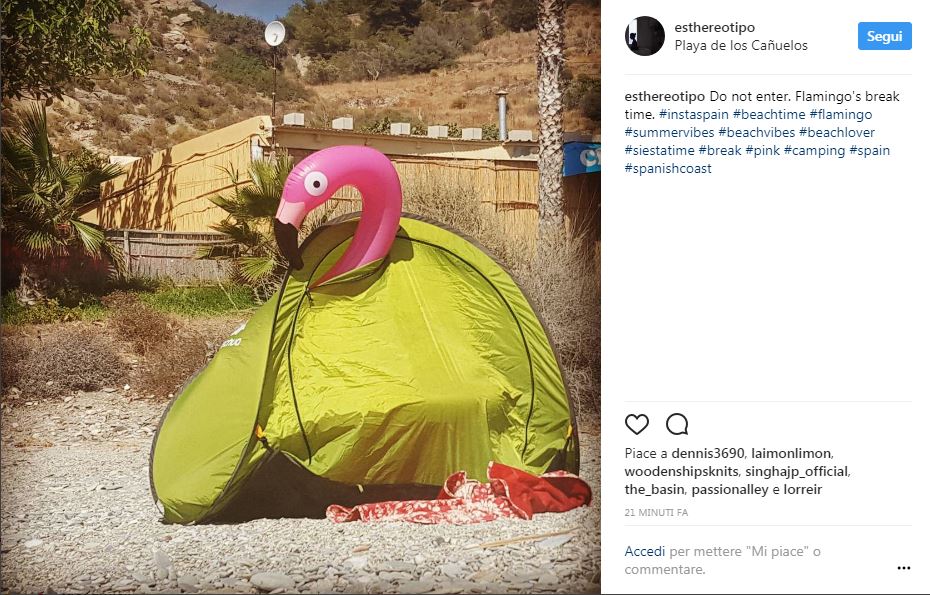 Galleria foto 'Flamingo mania: da dove nasce il fenomeno dell’estate' - foto 4