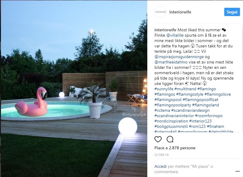 Galleria foto 'Flamingo mania: da dove nasce il fenomeno dell’estate' - foto 3