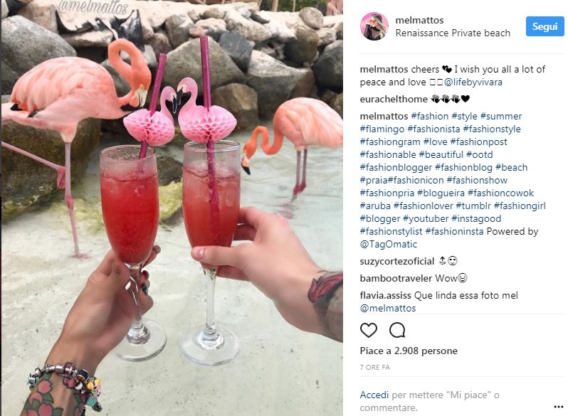 Galleria foto 'Flamingo mania: da dove nasce il fenomeno dell’estate' - foto 2