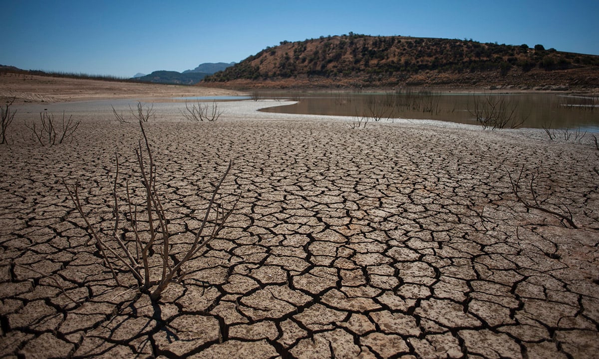 L’estate e il Carnevale delle emergenze – L’EDITORIALE DEL DIRETTORE L’estate e il Carnevale delle emergenze – L’EDITORIALE DEL DIRETTORE