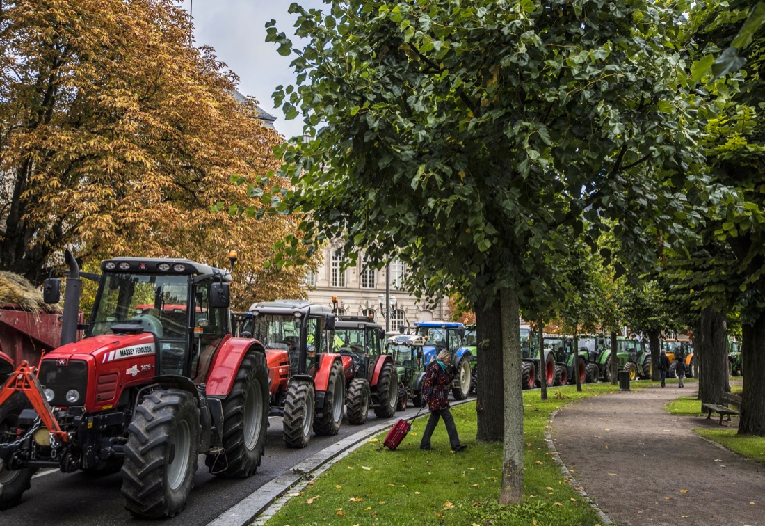 Le foto più belle della settimana: dal 16 al 22 settembre